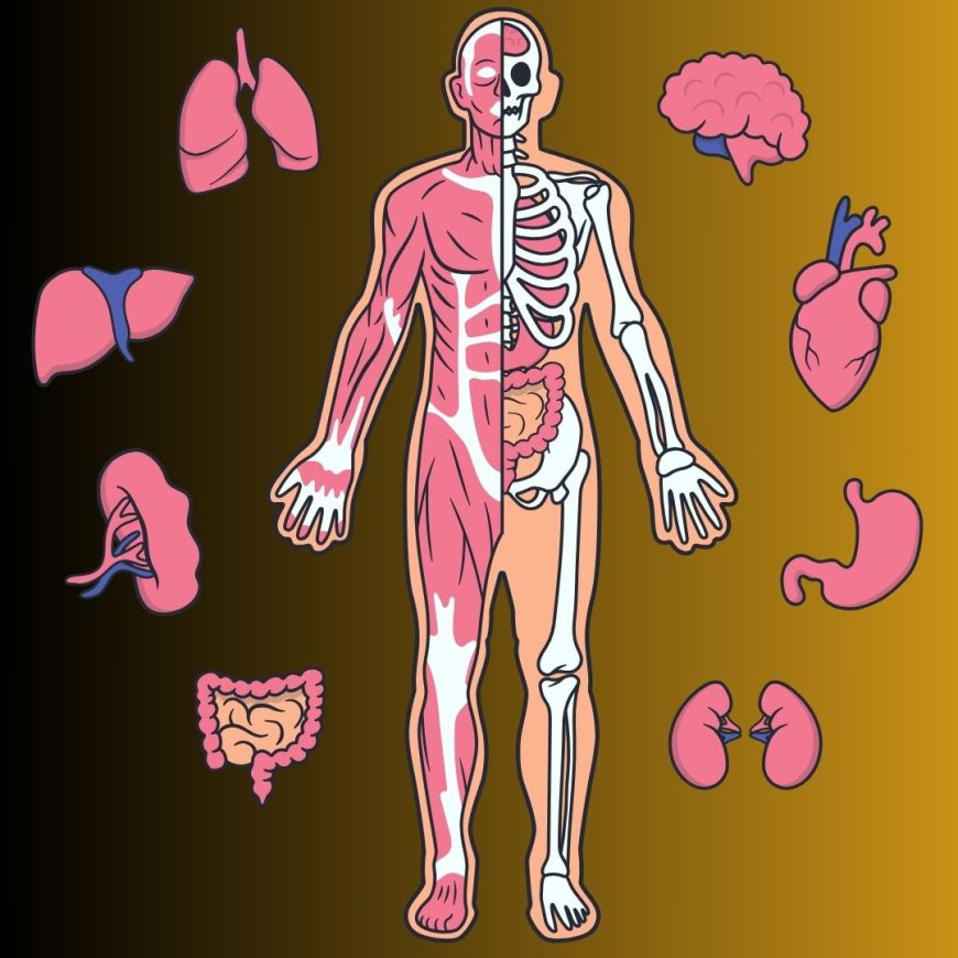 NEET Biology Syllabus